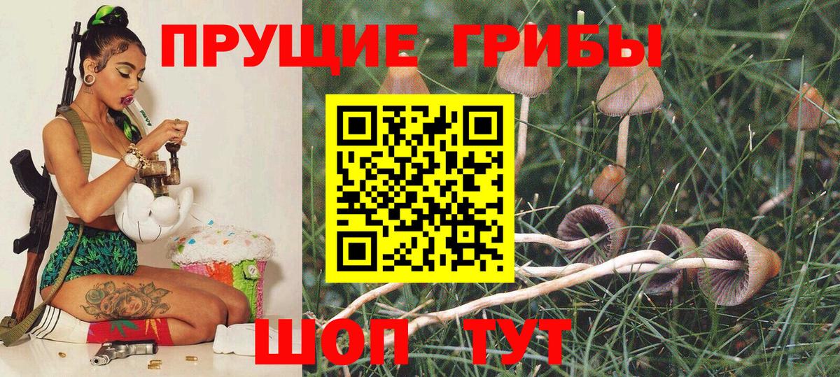 Галлюциногенные грибы Magic Shrooms Балаково